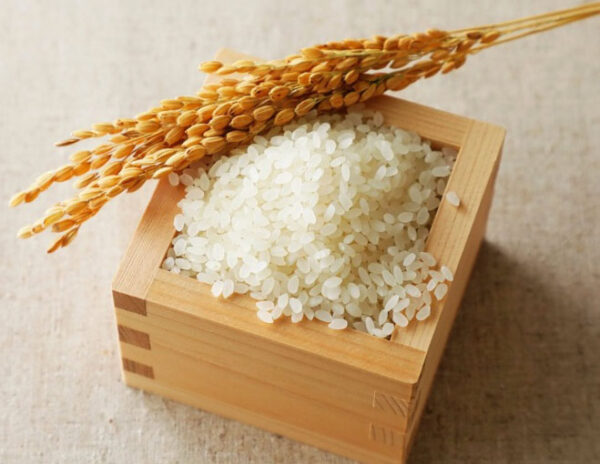 Short Grain Rice