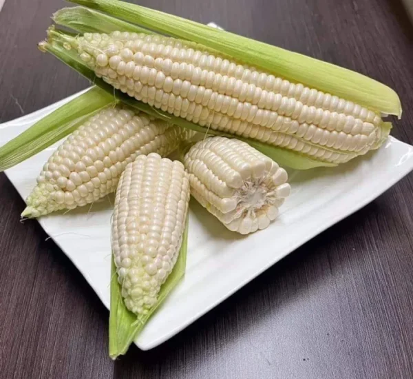 Pearl Corn: The White Pearl Corn 1KG